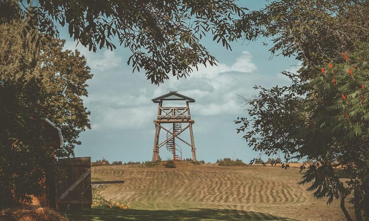 Skatu tornis pļavā vakara gaismā
